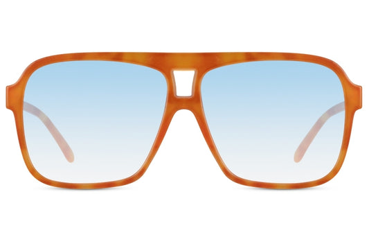 SUNGLASSES 8206